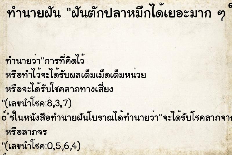 ทำนายฝัน ฝันตักปลาหมึกได้เยอะมาก ๆ ใช้กระชอนอันใหญ่ตัก